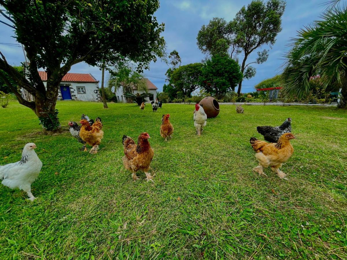 Solar Pontes Guest House คาเปลาส ภายนอก รูปภาพ