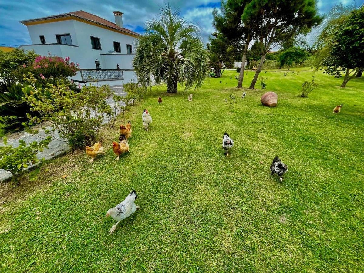 Solar Pontes Guest House คาเปลาส ภายนอก รูปภาพ